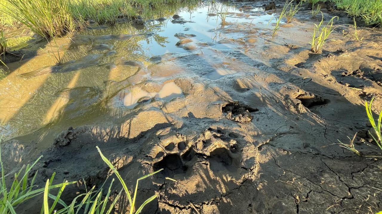 Zululand Lodge Hluhluwe Eksteriør billede